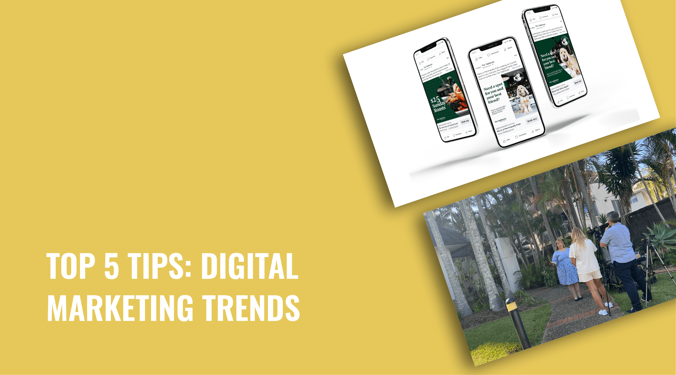 Digital Marketing | BRANDiT