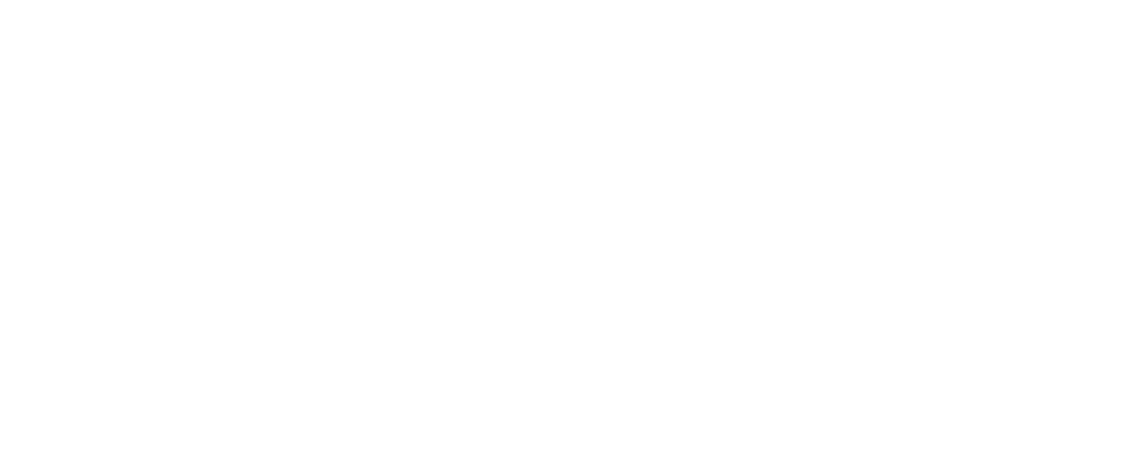 Splash King Logo