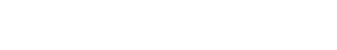 Turtle Publishing | BRANDiT Digital marketing Portfolio