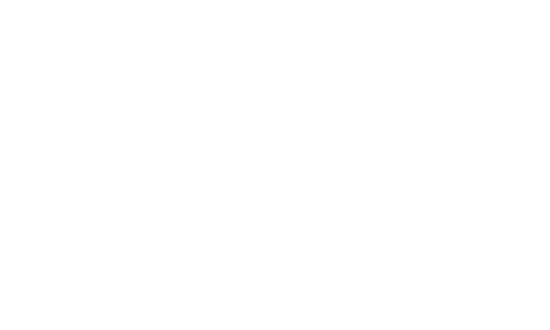 turmeric life logo | digital marketing gold coast