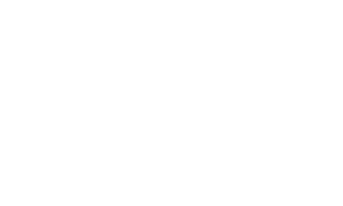 will ship-white| digital marketing gold coast