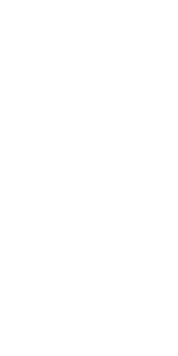 SOPO | BRANDiT Portfolio