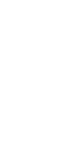wes jobs | BRANDiT Portfolio